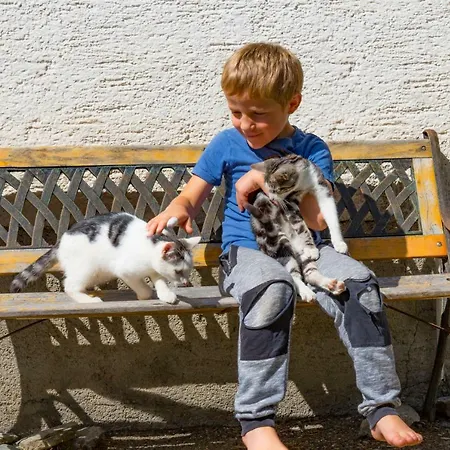 Grubhof Weissenbacher Κατάλυμα σε φάρμα *