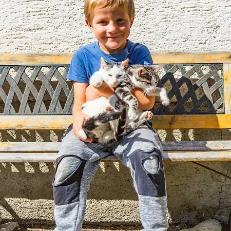 Grubhof Weissenbacher Κατάλυμα σε φάρμα Altenmarkt im Pongau