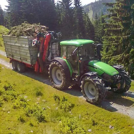 Grubhof Weissenbacher Altenmarkt im Pongau