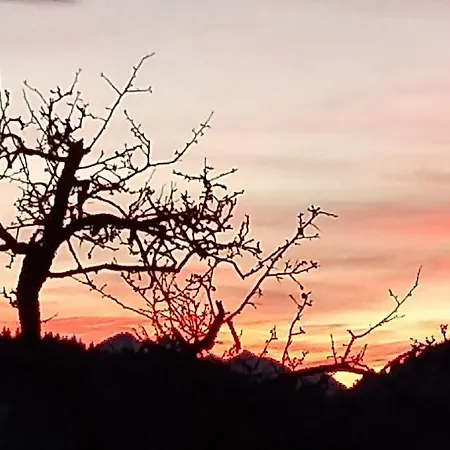 Grubhof Weissenbacher Κατάλυμα σε φάρμα Altenmarkt im Pongau