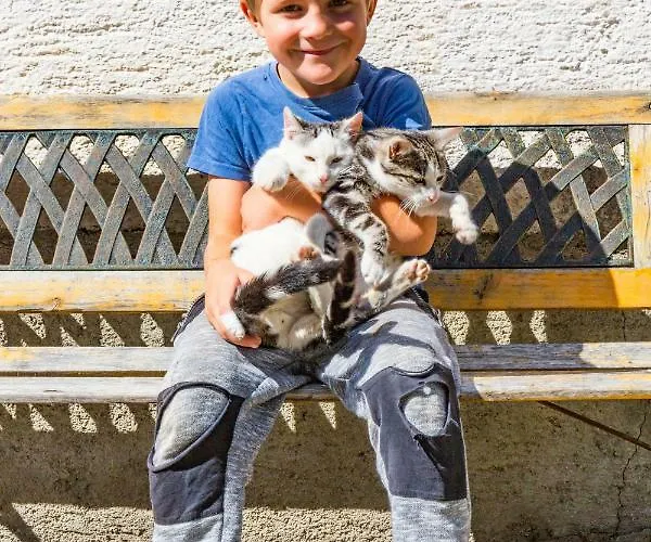 Grubhof Weissenbacher ファームステイ アルテンマルクト・イム・ポンガウ